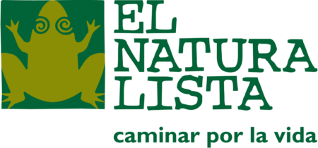 מדריך מידות El Naturalista